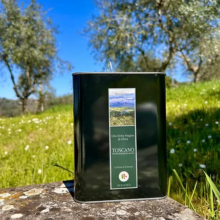 Mezzano In Chianti